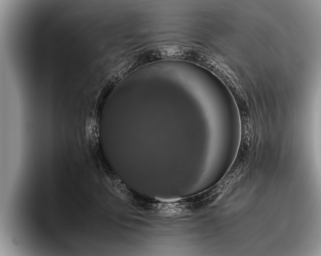 X0000096980419200802081411