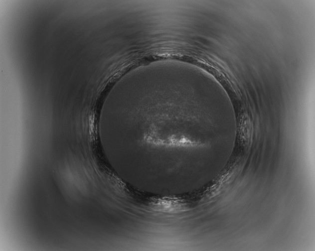 X0000096980420200802081411