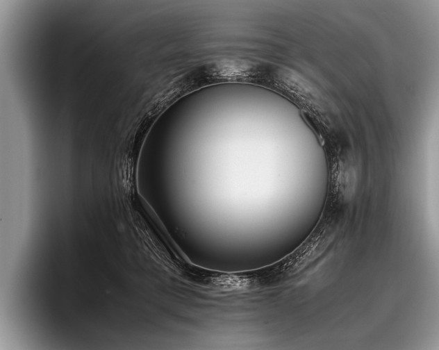 X0000096980421200802081411