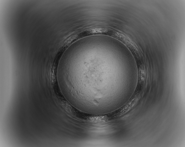 X0000096980422200802081411