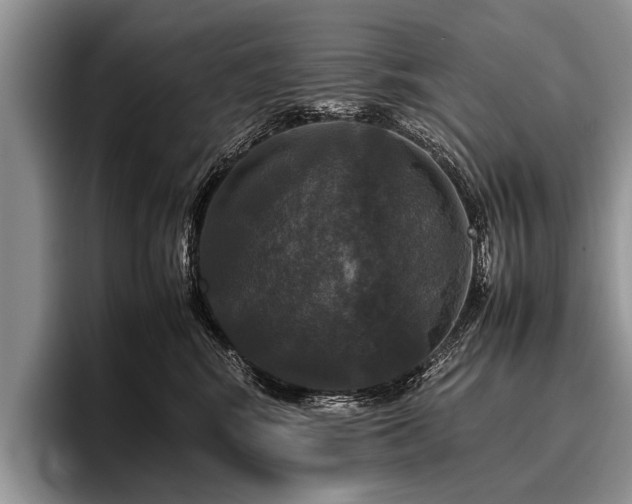 X0000096980424200802081411