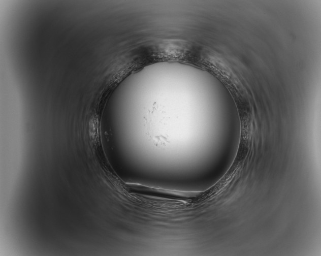 X0000096980425200802081411