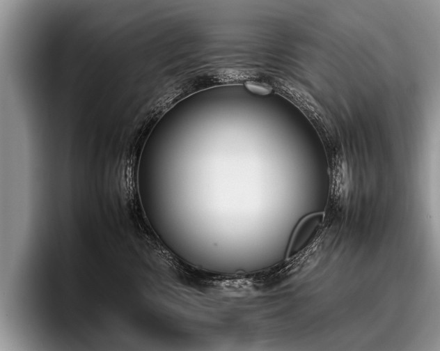 X0000096980426200802081411