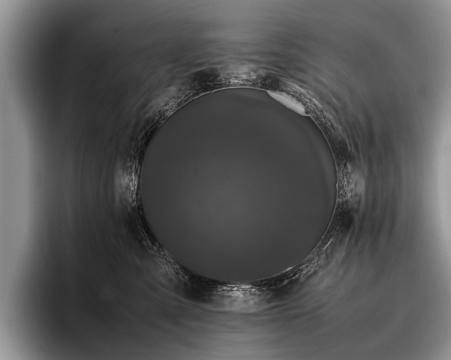 X0000096980427200802081411