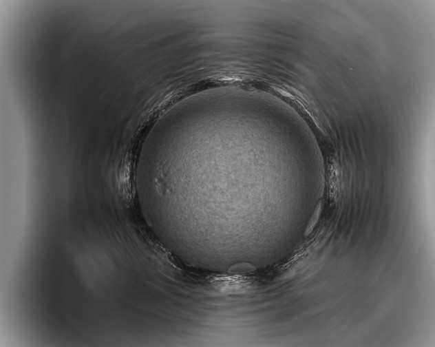 X0000096980428200802081411