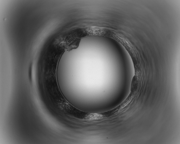 X0000096980429200802081411