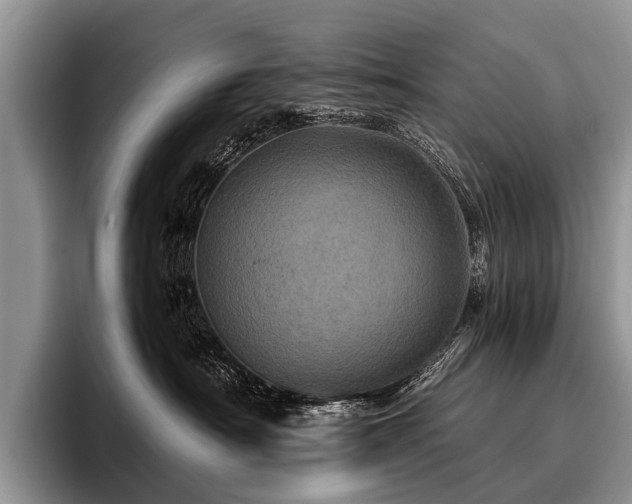 X0000096980430200802081411