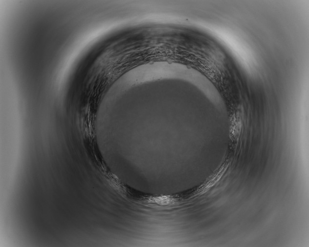 X0000096980431200802081411