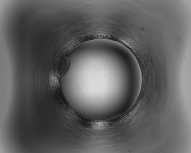 X0000096980432200802081411