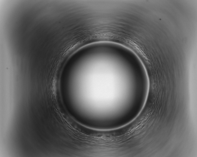 X0000096980434200802081410