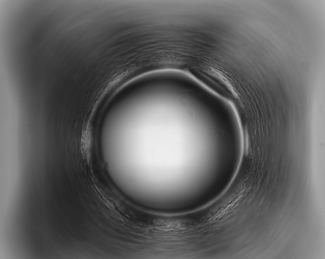 X0000096980435200802081410