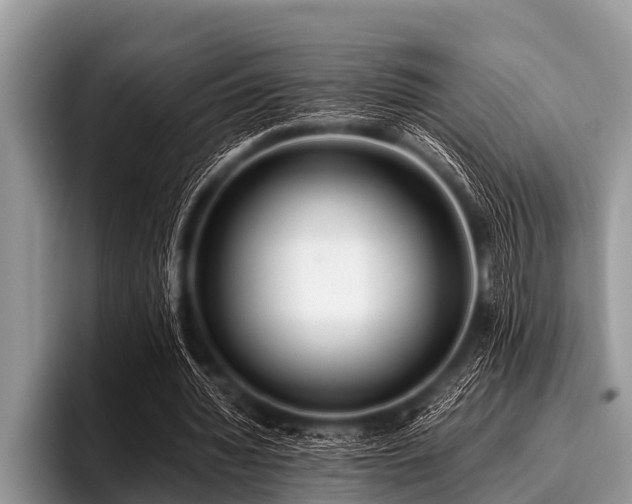 X0000096980436200802081410