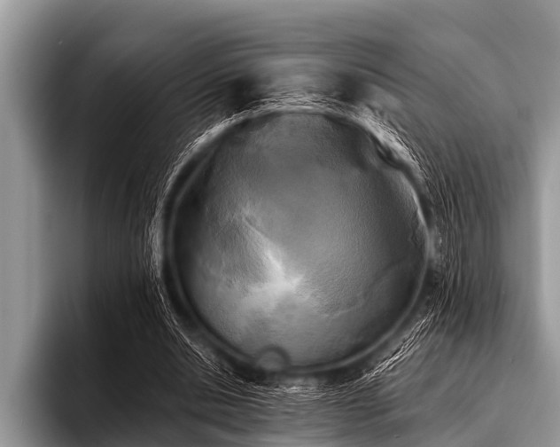 X0000096980438200802081410