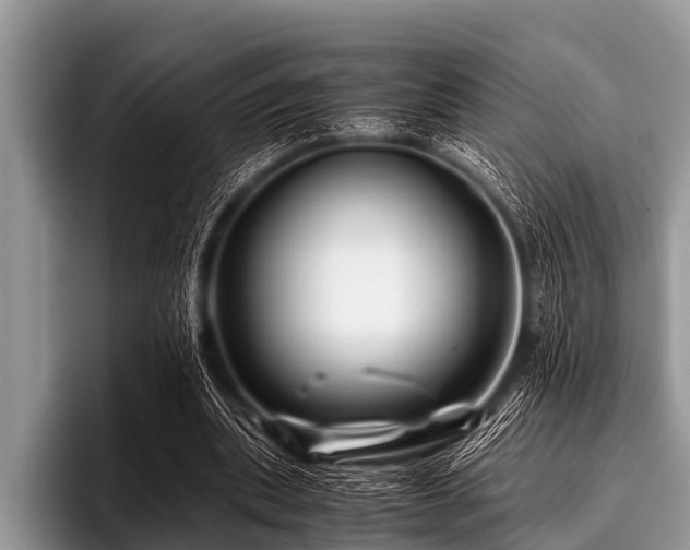 X0000096980439200802081410