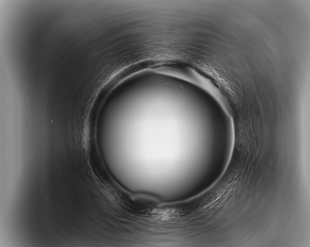 X0000096980440200802081410