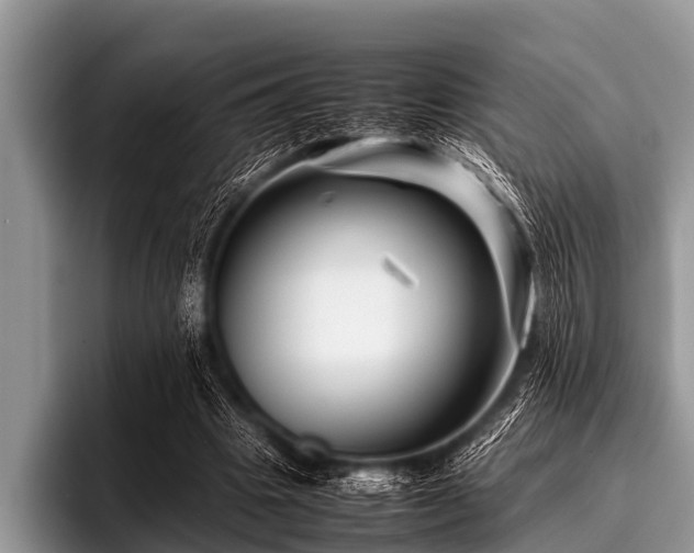 X0000096980441200802081410