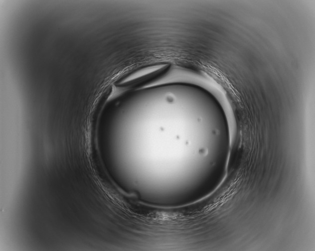 X0000096980442200802081410