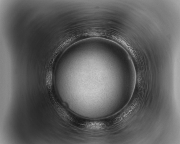 X0000096980445200802081411