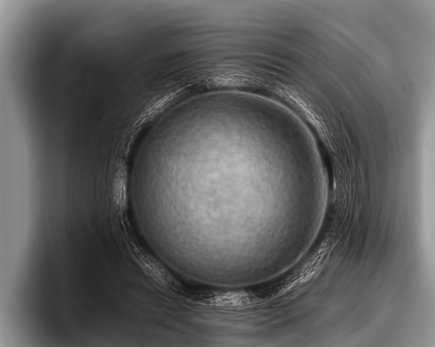 X0000096980446200802081411