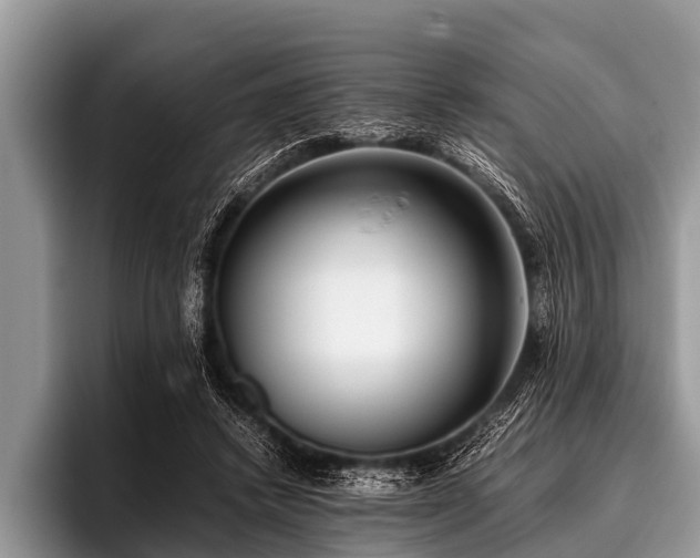 X0000096980448200802081411