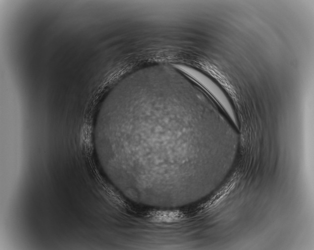 X0000096980449200802081411