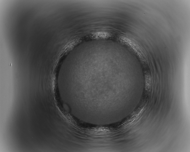 X0000096980451200802081411