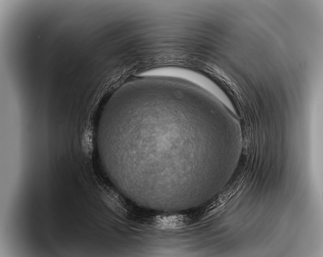 X0000096980452200802081411