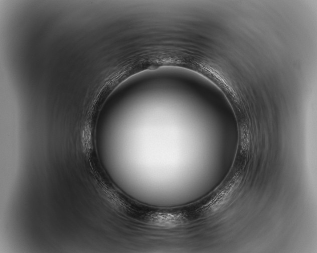 X0000096980453200802081411