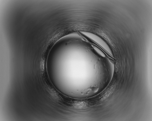 X0000096980454200802081411