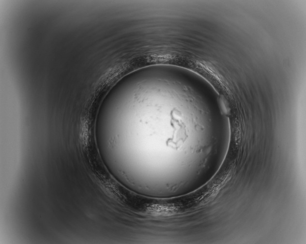 X0000096980455200802081411