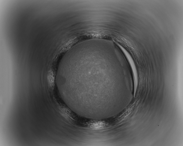 X0000096980456200802081411