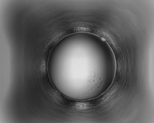 X0000096980457200802081411