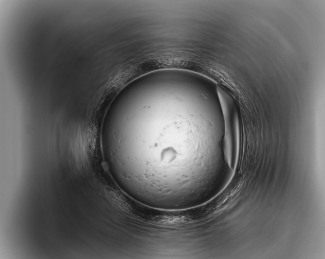 X0000096980458200802081411