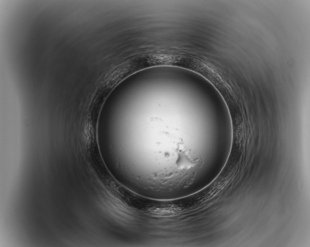 X0000096980459200802081411