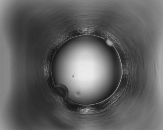 X0000096980460200802081411