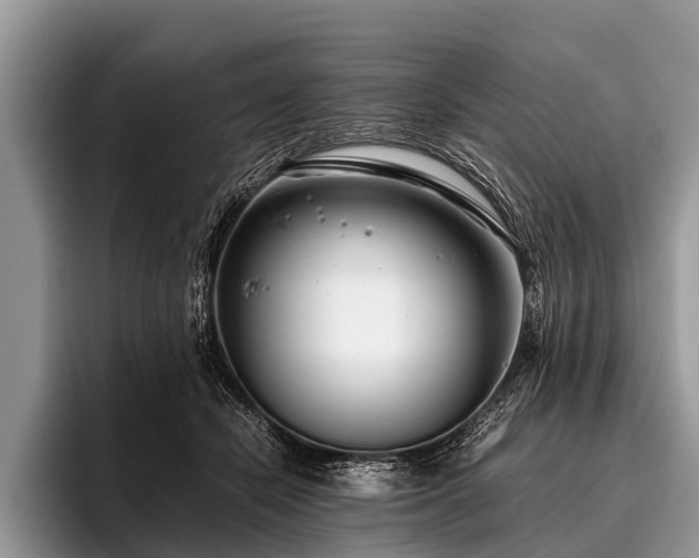 X0000096980462200802081411