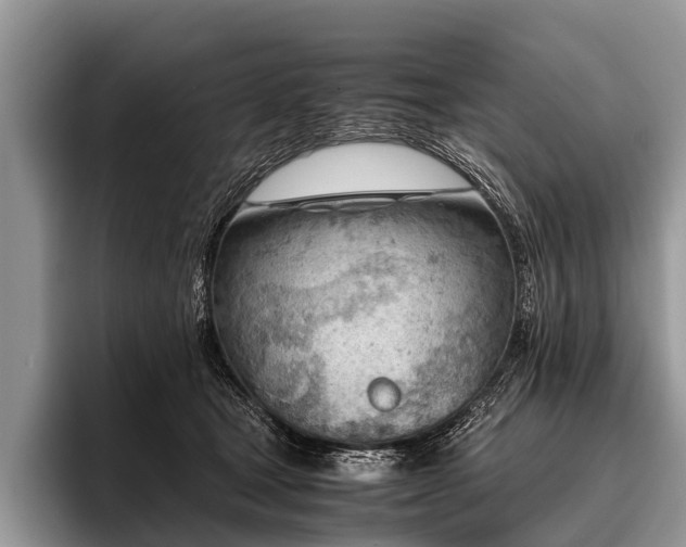 X0000096980465200802081411