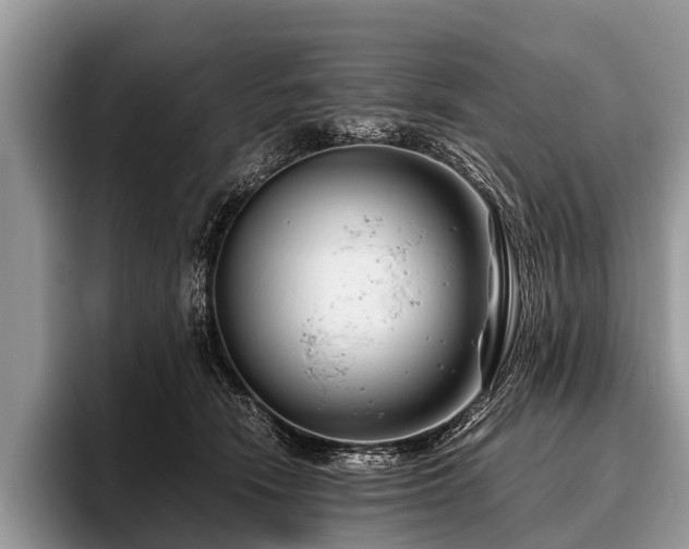 X0000096980466200802081411