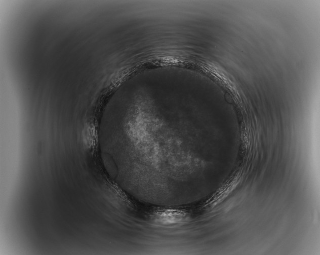 X0000096980467200802081411