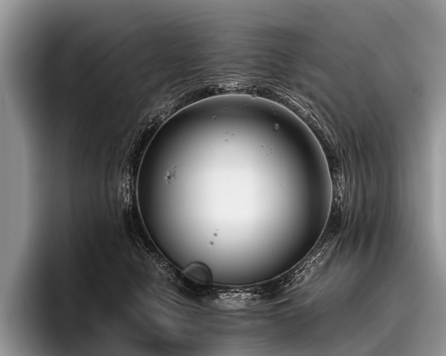 X0000096980470200802081411