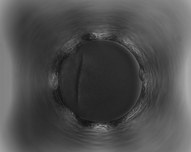 X0000096980471200802081411