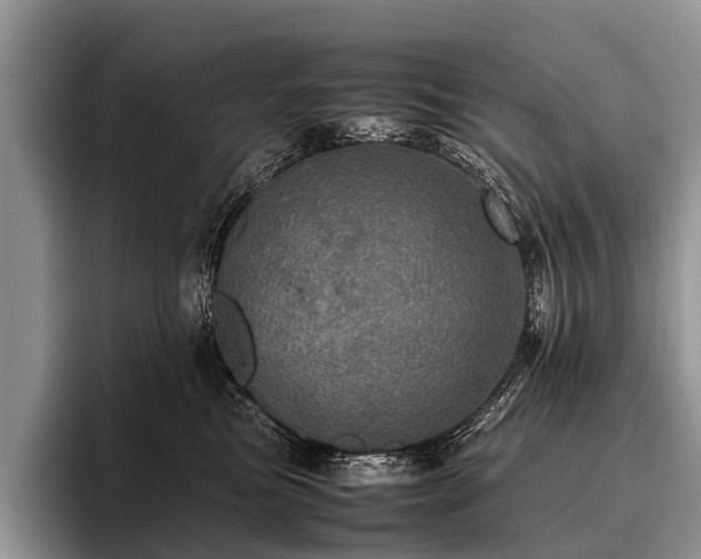 X0000096980473200802081411