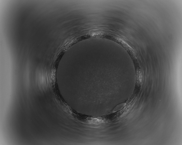 X0000096980475200802081411