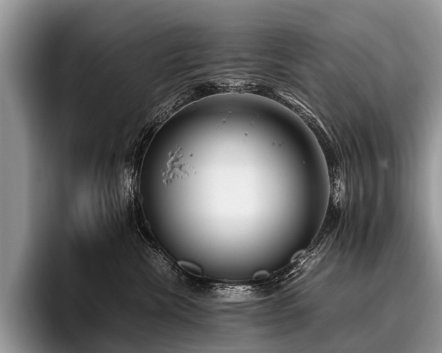 X0000096980476200802081411