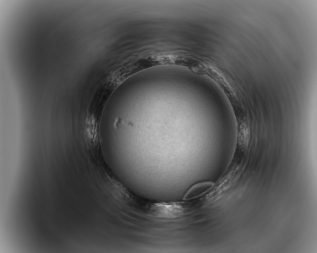 X0000096980477200802081411