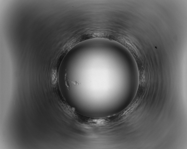 X0000096980478200802081411