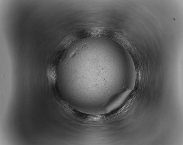 X0000096980479200802081411