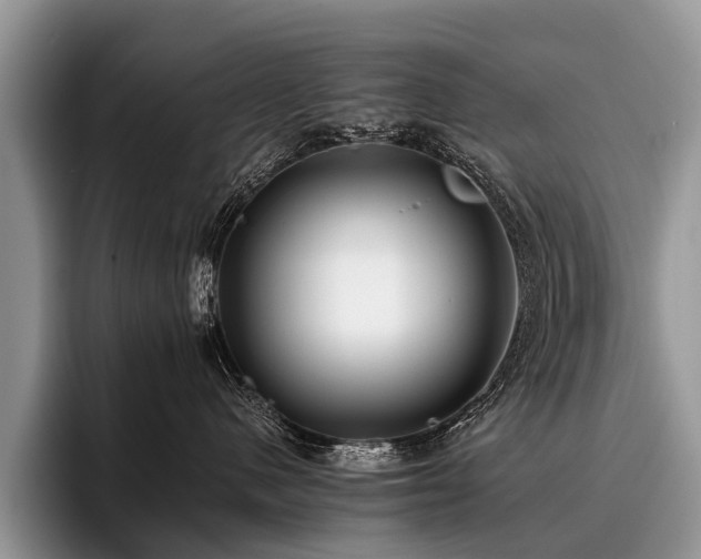 X0000096980480200802081411