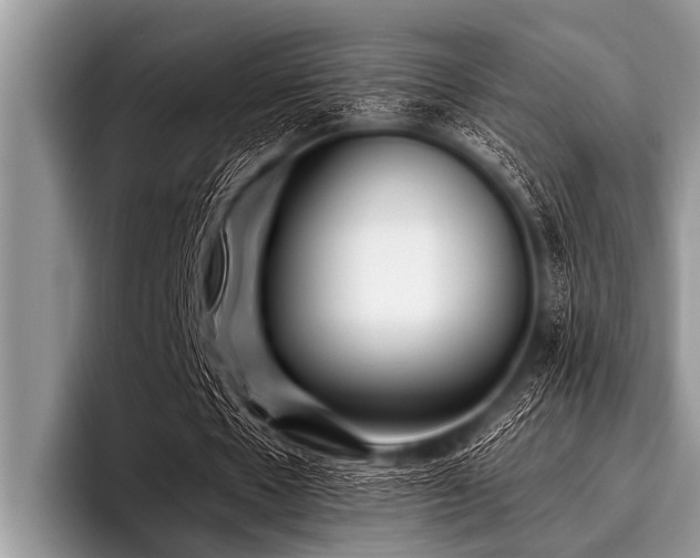 X0000096980481200802081410