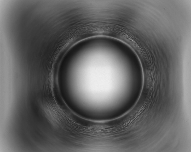 X0000096980482200802081410